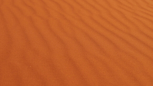 Pattern and texture on a sand dune formed by the blowing wind in the desert of Erg Chebbi near Merzouga, Morocco, Africa. Focus on center of image.