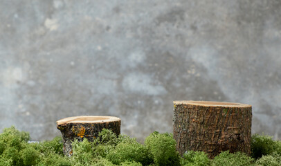 natural style. Wooden podiums or display stands with green moss on gray concrete background. Still...