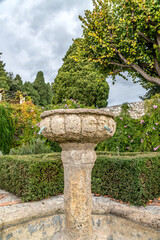 Fototapeta na wymiar Jardin à la française du monastère de Cimiez à Nice