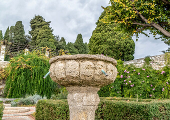 Fototapeta na wymiar Jardin à la française du monastère de Cimiez à Nice