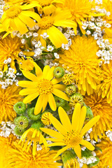 Spring Flowers background with dandelion on easter day