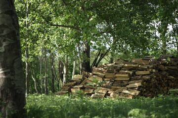 Pile of wood