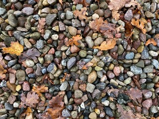 autumn leaves on the stones 