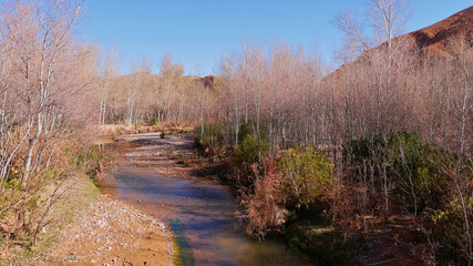 Small river flowing through Dadès Gorges near Boumalne Dadès, Morocco, Africa in winter time with bare birch trees on a sunny day with blue sky.