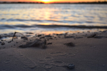 Huellas de gotas en la arena al atardecer en el costa del río