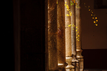 claustro gótico, siglo XV, , Monasterio de San Jerónimo de Yuste , siglo XV, comarca de de la...