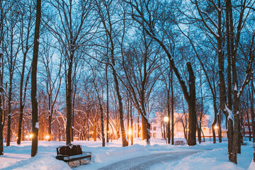 Gomel, Belarus. City Park In Winter Evening. Homiel Park. Famous Local Landmark Place In Snow