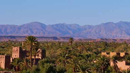 Beautiful panorama view of a fertile green oasis with date palm trees and historic Moorish loam...