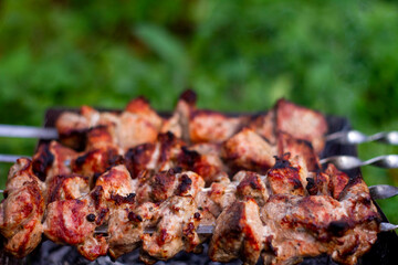 shish kebab on the grill
