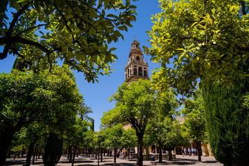 Naklejka premium torre campanario sobre el alminar, patio de los naranjos, Mezquita-catedral de Córdoba, Andalucia, Spain