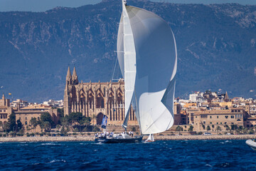 The Superyacht Cup Palma, bahia de Palma, Mallorca, balearic islands, spain, europe - obrazy, fototapety, plakaty
