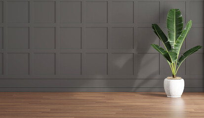 Empty gray interior with green banana vase