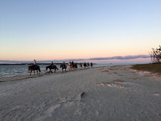 Fototapeta na wymiar people riding horses at sunset on the beach