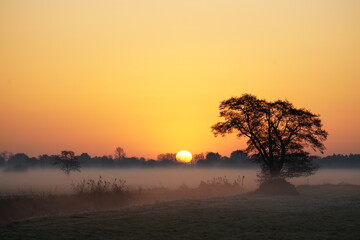 Fototapeta na wymiar Sunrise over Grassland covered in Fog