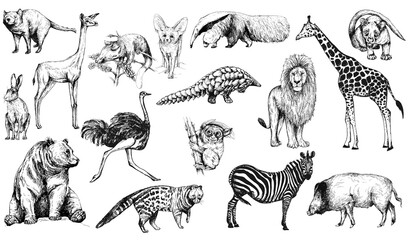 Big set of hand drawn sketch style animals isolated on white background. Vector illustration. - 391112535