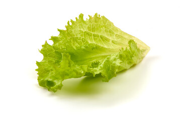 Fresh green lettuce, isolated on white background