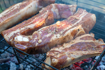 Barbecue pork spare ribs cooking on a grill outdoors in summer with selective focus. Outdoor holiday picnic with BBQ