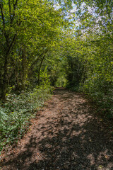 Obraz premium Saugeot, France - 09 03 2020: View from the belvedere of the Round