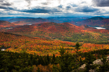 Adirondack forest at fall view from Crane mountain