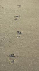 Fototapeta na wymiar foot imprints on a sandy beach
