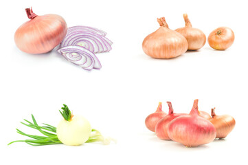 Collage of Ripe onion isolated on a white background cutout