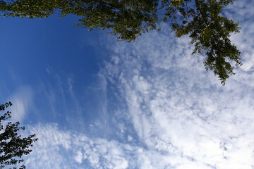 Summer blue sky with white clouds, background, copy space.