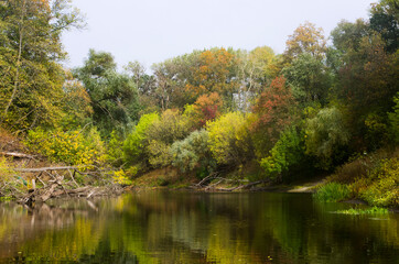 Autumn forest landscape along the banks of the river