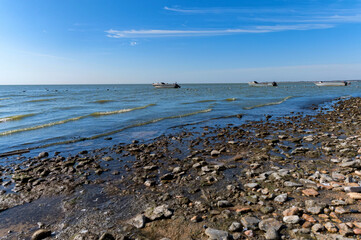 Fototapeta na wymiar View on the Azov sea in summer from the coast of Taganrog bay