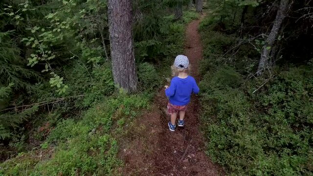 A small child with curly white hair walking in a forest in the Southern Finland, in the summer, on the end of July, with lots of pines, spruces, bracken and moss.