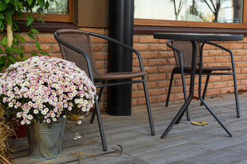 Street cafe with table and chairs among flowers 
chrysanthemums in the autumn season.