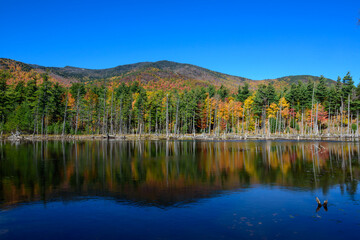 Fall foliage color near whiteface mountain in the Adirondack