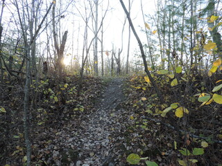 novembre au lac boivin