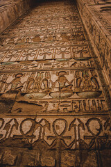 Ancient egyptian hieroglyphics