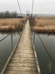 Fototapeta premium bridge