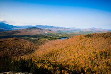 Forest near Lake Placid in the Adirondack from Balanced rock