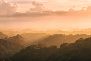 Landscape of a forest covered by mist and beautiful golden light at sunset