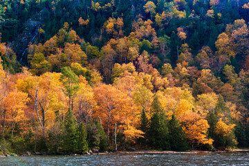 Obraz premium Fall colors at Cascade mountain