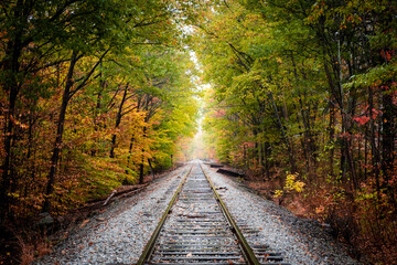 Rail track in the White mountains at fall