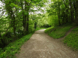 Alleys for walking among nature