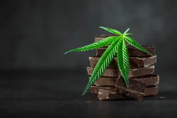 Fotobehang Cupcake with marijuana.traditional sponge cake with cannabis weed cbd. Medical marijuana drugs in food dessert, ganja legalization.Stack of chocolate slices with mint leaf on a wooden table. © bukhta79