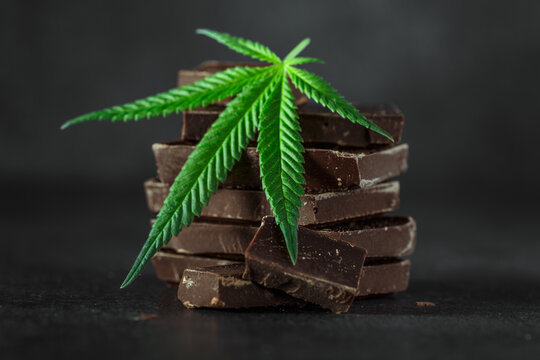 Cupcake with marijuana.traditional sponge cake with cannabis weed cbd. Medical marijuana drugs in food dessert, ganja legalization.Stack of chocolate slices with mint leaf on a wooden table.