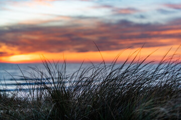 Fototapeta premium Sunset at the coast