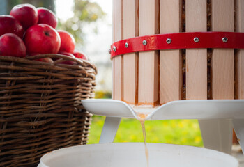 Apple juice stream from apple press