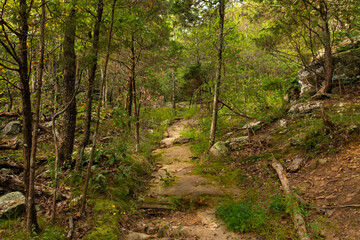 Fototapeta na wymiar Hiking Trail