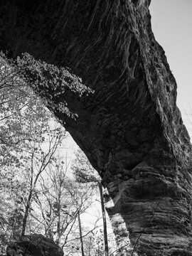 Black and White Picture of the Natural Bridge at Red River Gorge