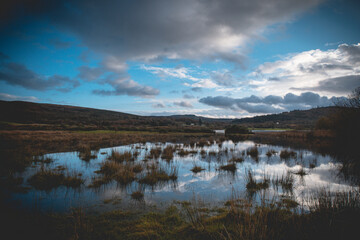 Obraz premium Flooded Lough Allua lake at sunset. southwest ireland. A lake lying on the river Lee which flows into Cork. 