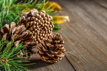 Pine cone and green branch on wooden table with snow, copy space for text.Christmas card. Pine cones on wooden background.
