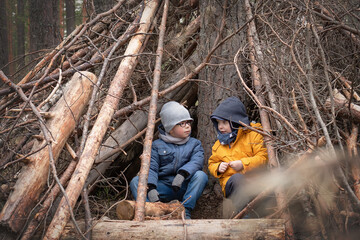 Two warmly dressed little boys in an autumn (or spring) pine forest play in a makeshift hut (shelter) made of branches.
