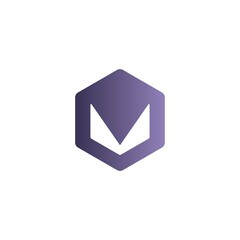 Fototapeta premium modern logo
