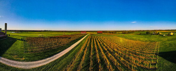 Aerial panorama of a vineyard located close to Lexington, Kentucky with barns and warehouses visible around the field